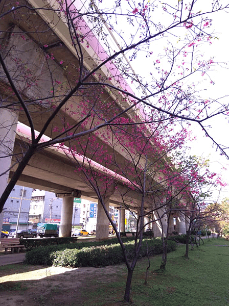 捷運高架底下步道_04.PNG