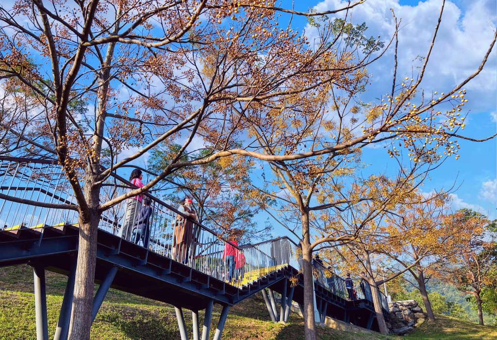 關渡好玩美景 - 台北藝術大學、三層崎公園223、仙渡公共藝