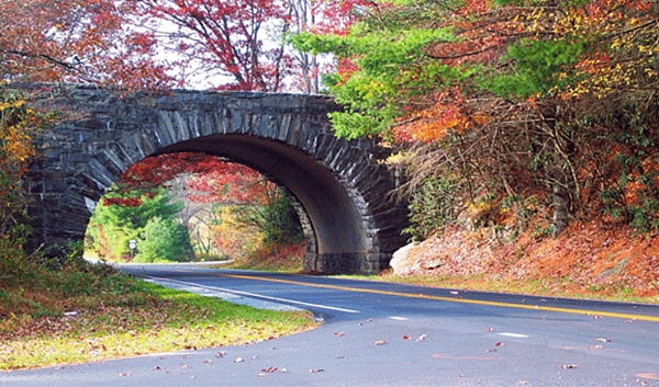 藍岭公園路.PNG