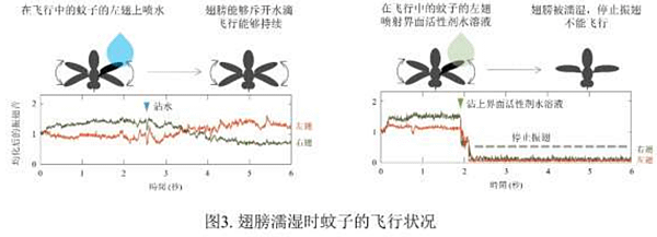 【花王水性罔仔水】花王開發不使用殺蟲成分滅蚊新技術 ( 俗稱