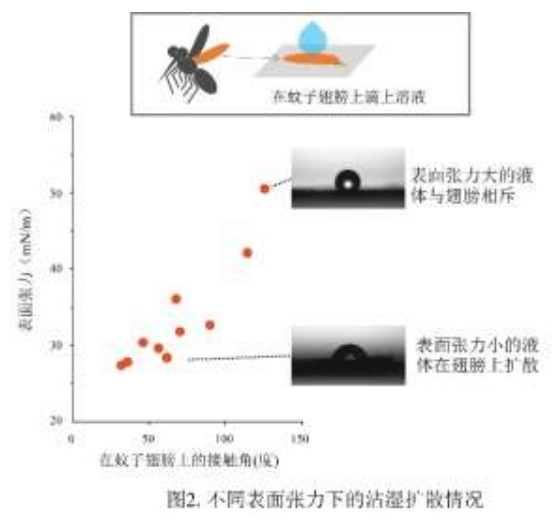 【花王水性罔仔水】花王開發不使用殺蟲成分滅蚊新技術 ( 俗稱