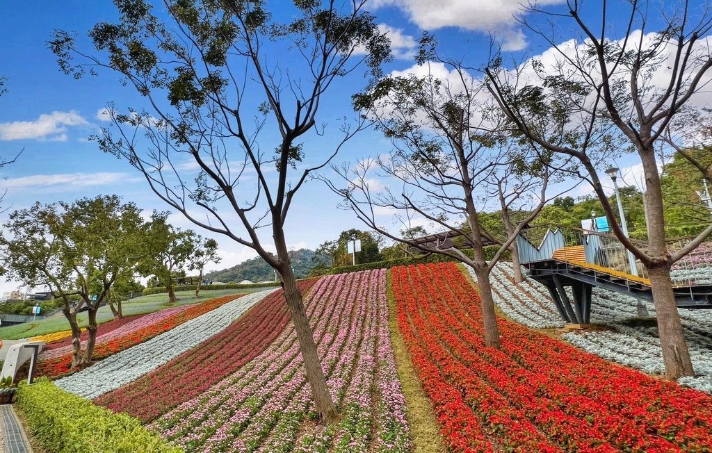 關渡好玩美景 - 台北藝術大學、三層崎公園223、仙渡公共藝