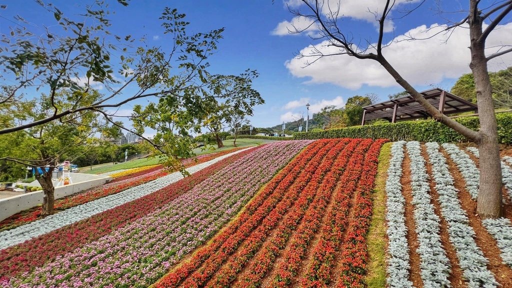 關渡好玩美景 - 台北藝術大學、三層崎公園223、仙渡公共藝