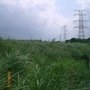 八堡圳舊址,被淹沒了