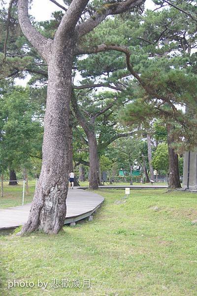 『走跳東台灣』花蓮行-松園別館-3.jpg