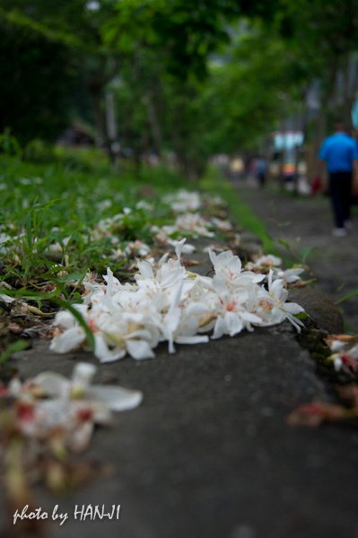 車埕-沿著鐵道出發-40