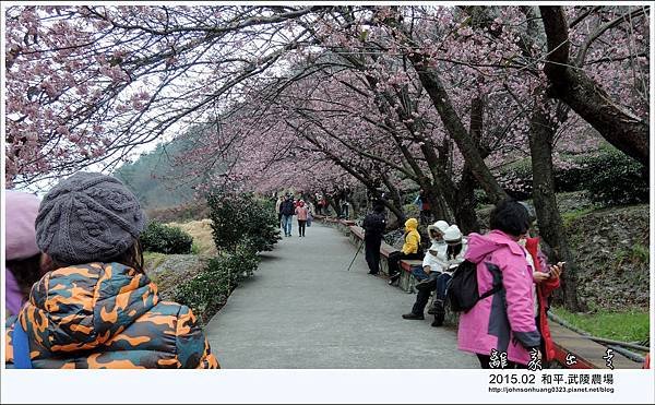 DSCN4432.jpg