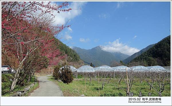 DSCN4486.jpg