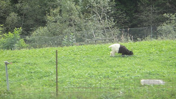 DSC02508.JPG