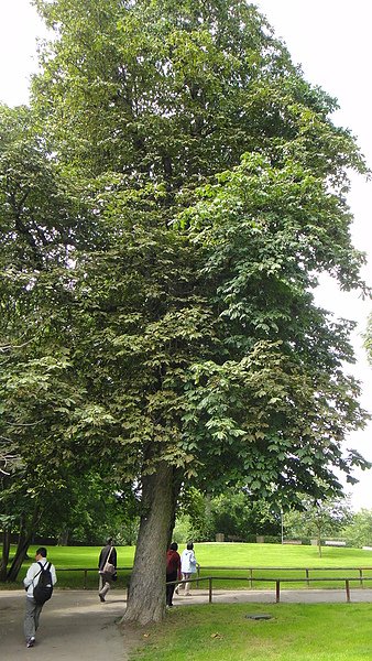 DSC03358.JPG