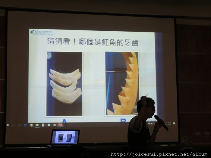 介紹一些特別的小知識