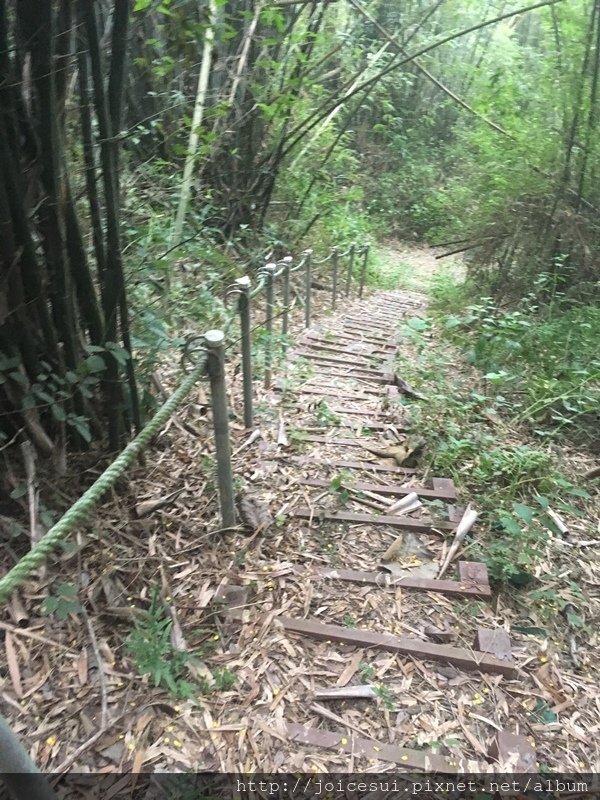因為我走最後一個，所以時常往回拍