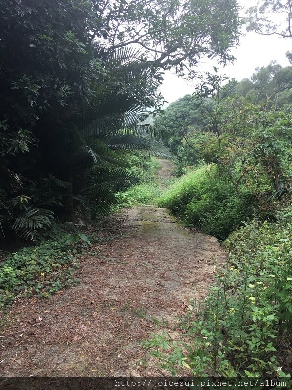 但到底是死路，只能繼續走山路
