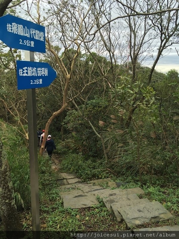 這邊有一條下山的路