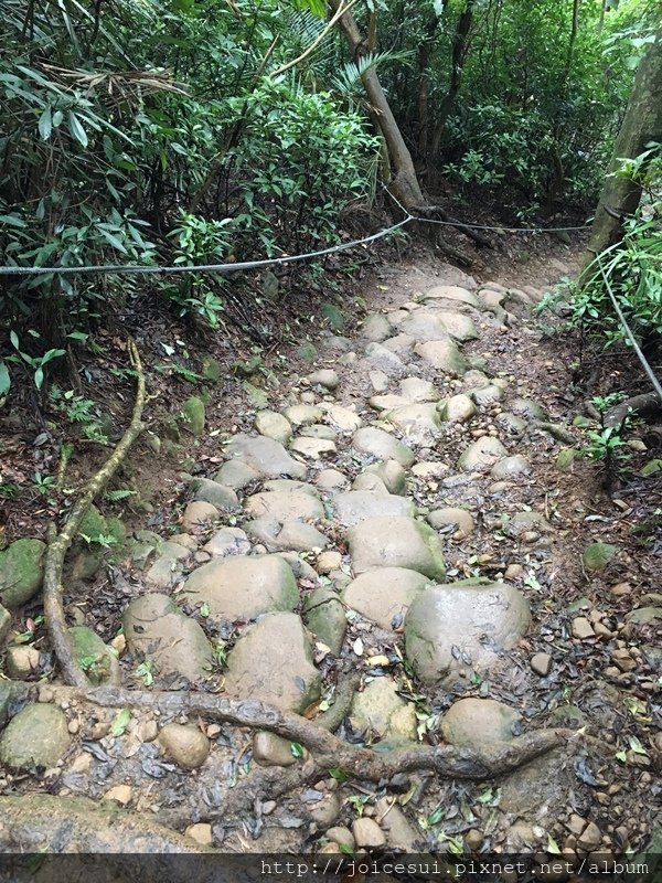 石頭和土有點滑一定要小心