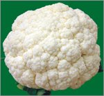 農委會花椰菜圖