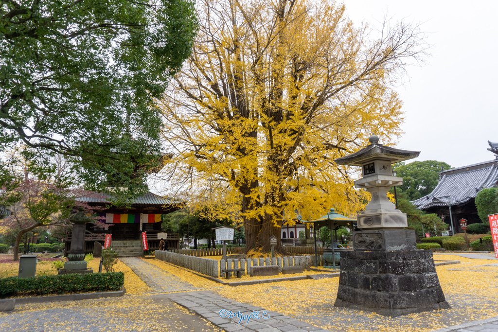 DSC05569-HDR.jpg