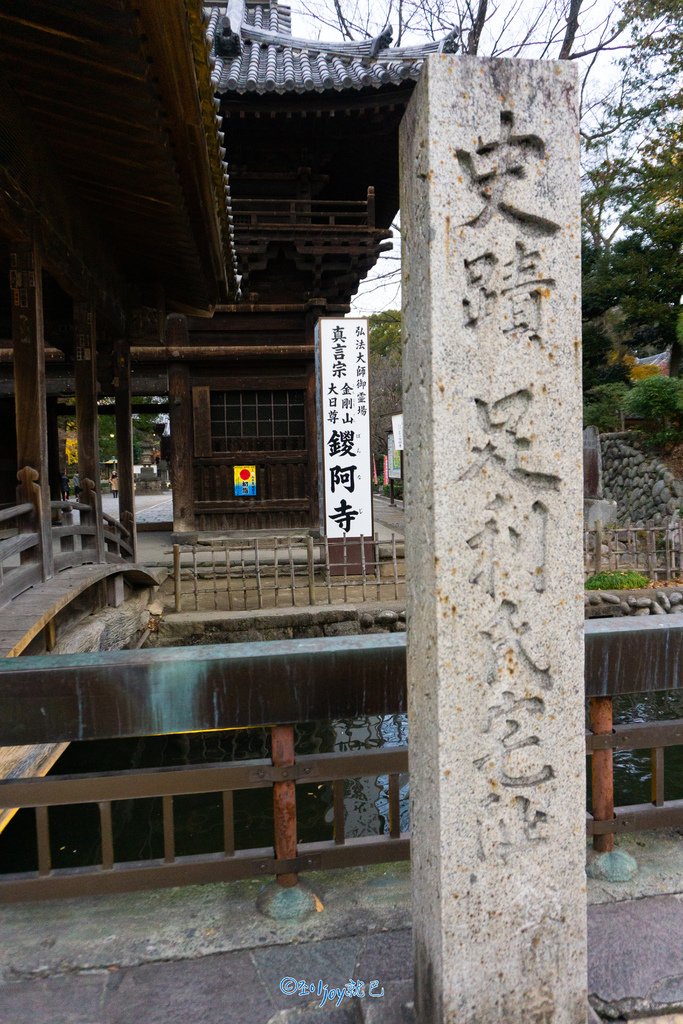 DSC05591.jpg