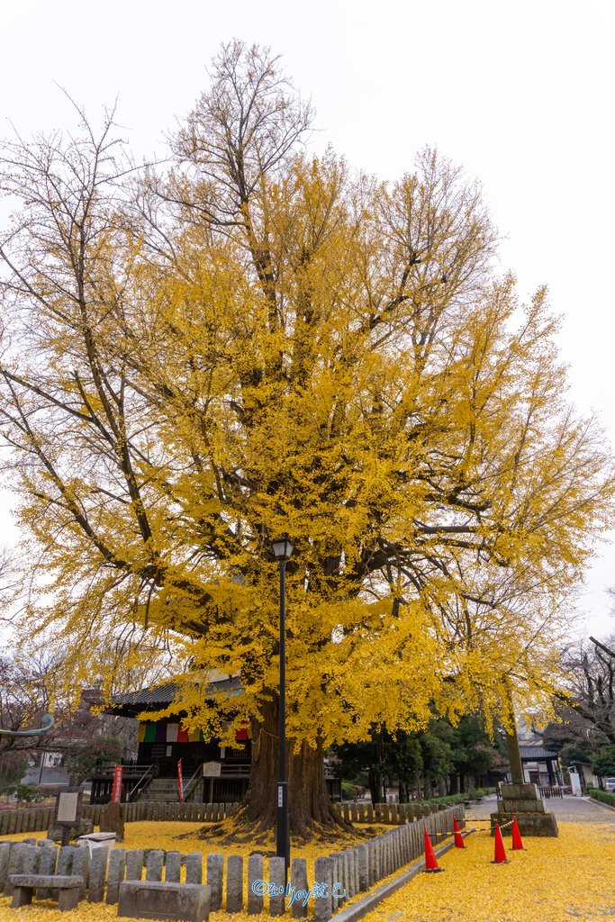 DSC05585-HDR.jpg
