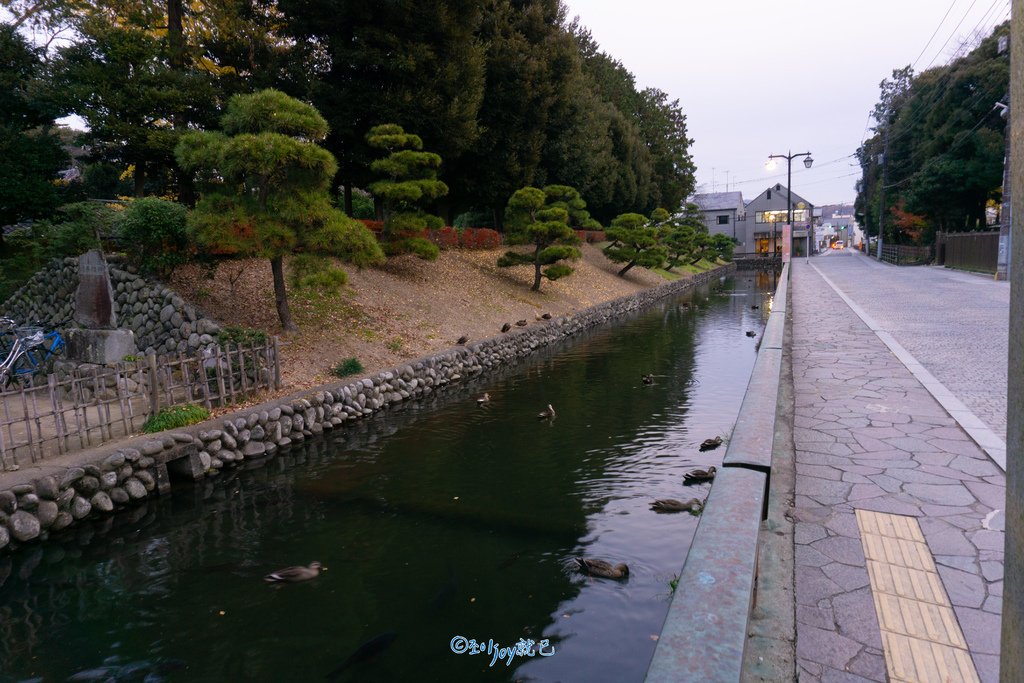 DSC05589.jpg