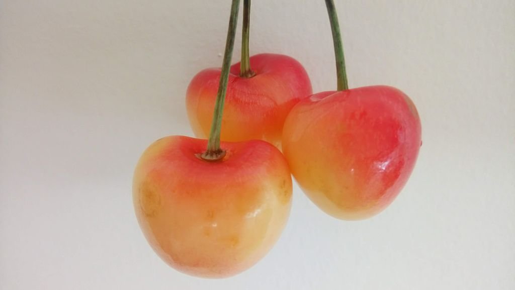 2019多元文化嘉年華 0721-01