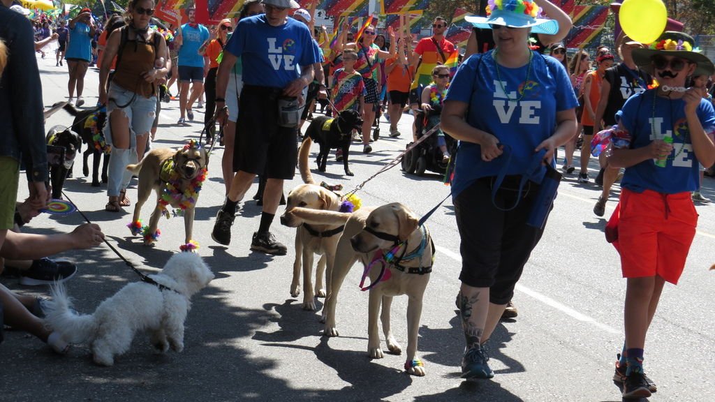 2019 Vancouver Pride Parade 0804-24