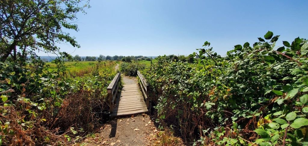 海琪愛出遊 0826-10 Serpentine Fen.jpg