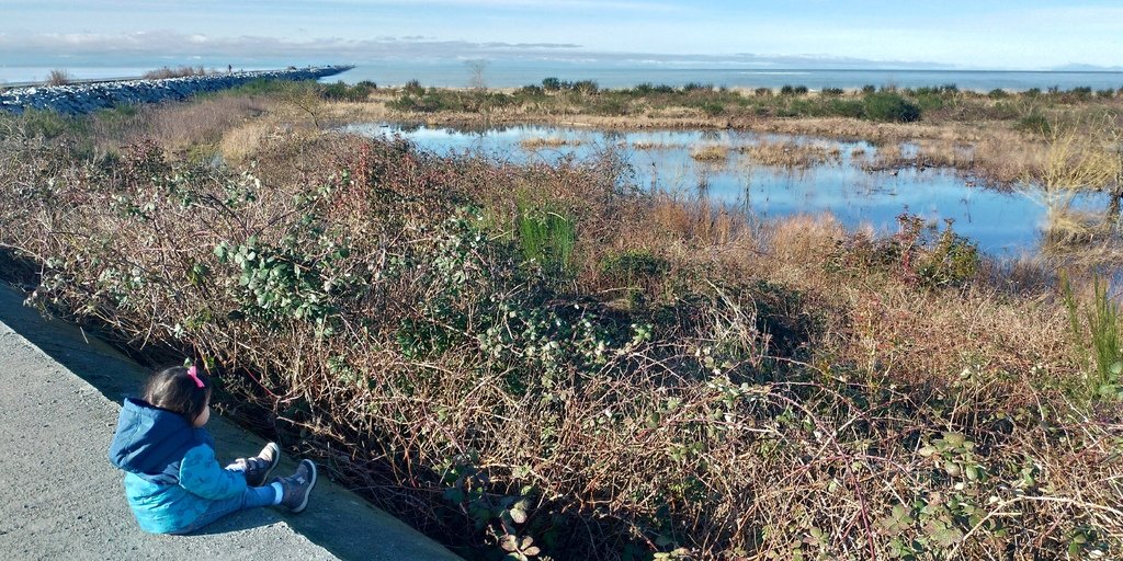 海琪的童書年代 20210203_103605_Iona Beach Regional Park.jpg