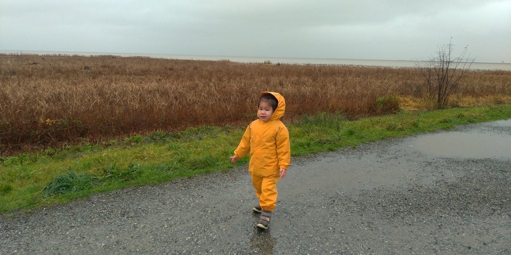 West Dyke Trail 雨中散步 20211125_094808_Terra Nova Rural Park.jpg