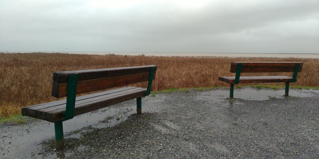 West Dyke Trail 雨中散步 20211125_094857_Terra Nova Rural Park.jpg