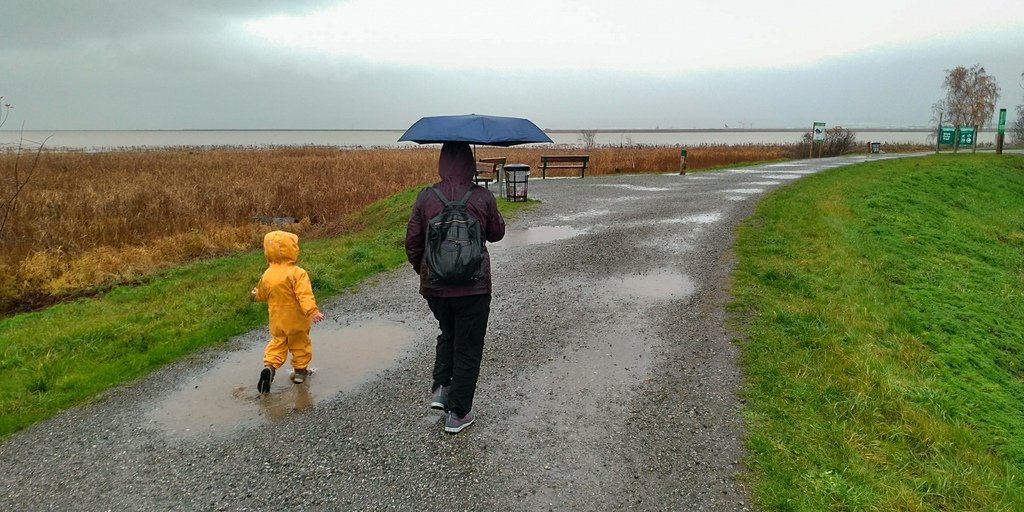 West Dyke Trail 雨中散步 20211125_094829_Terra Nova Rural Park.jpg