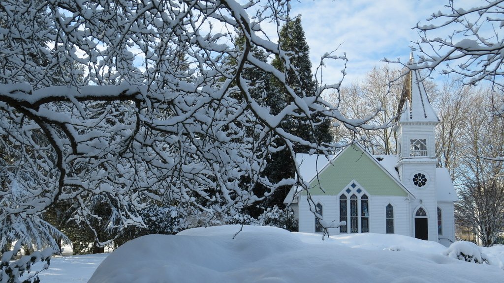 溫哥華的歲末大落雪 20211230_111600_Minoru Park.JPG