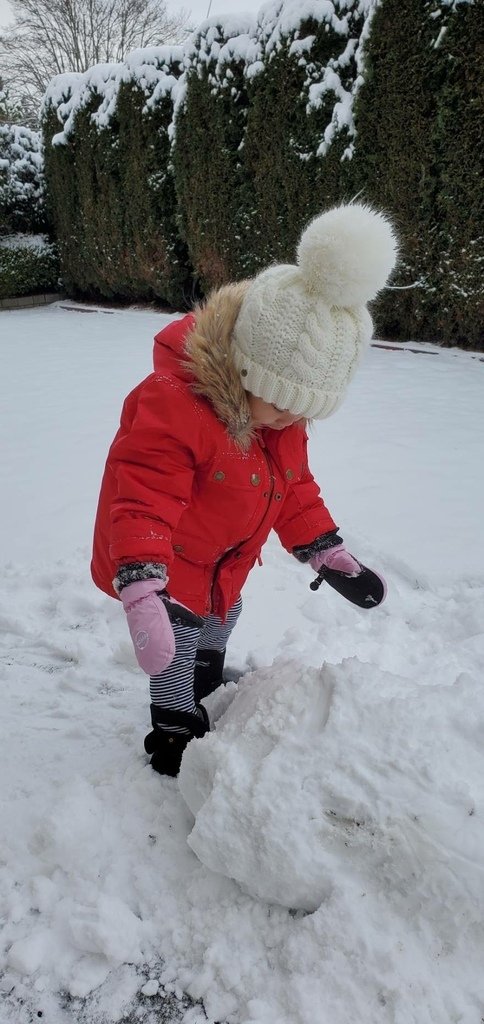 溫哥華的歲末大落雪 20211226_105901_Snow.jpg