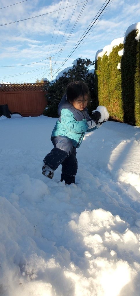 溫哥華的歲末大落雪 20211230_150603_Snow.jpg