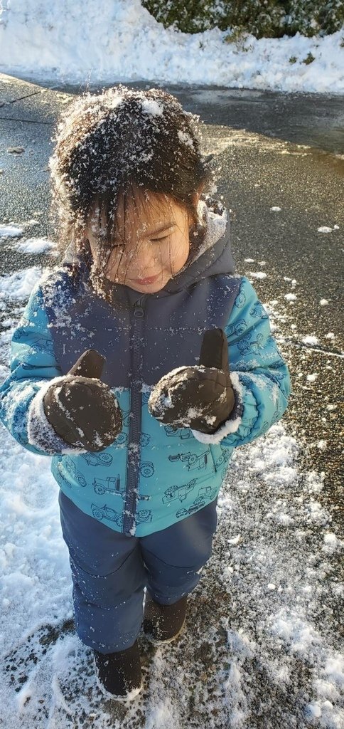 溫哥華的歲末大落雪 20211230_150802_Snow.jpg