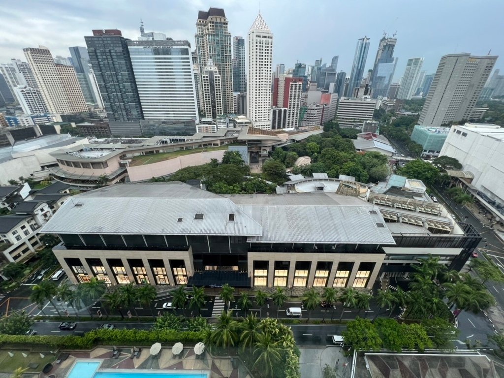 住宿 New World Makati Hotel 20220520_Manila_56_New World Makati Hotel View.jpg