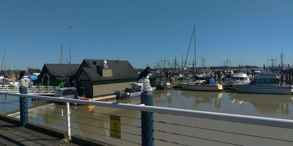 老艾阿公與海琪阿孫的背影 20220712_162844_Steveston Village.jpg