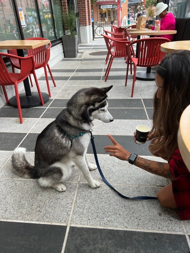 超市人生之錙銖必較隨手省 20220826_144502_Siberian Husky.jpg