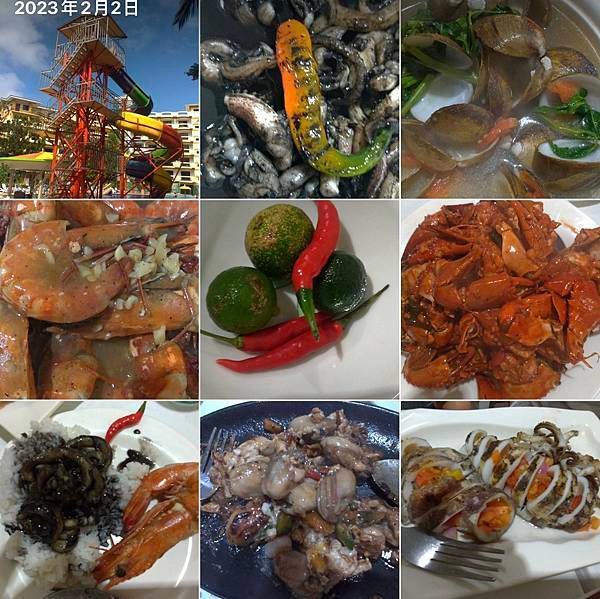 日落、椰林、吃吃喝喝 20230202-Sababi Restaurant#.jpg