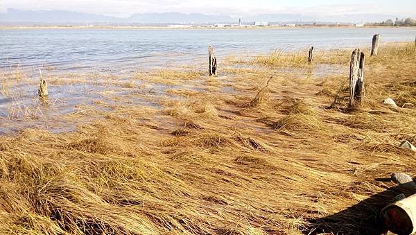 在河堤岸邊悠閒地抽大麻 20231005_111500_Middle Arm Waterfront Greenway.JPG