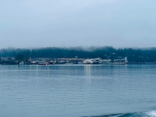 夏娜假後一切如常 20240128_174300_BC Ferries.JPG