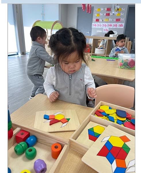 這隻麻雀很準時 20240216_145200_Sa_CEFA Daycare.JPG