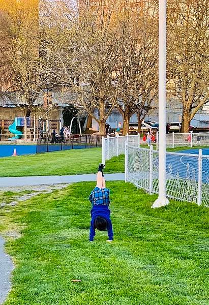 夏娜的眼神酷冷犀利 20240419_195600_He_Minoru Park.JPG