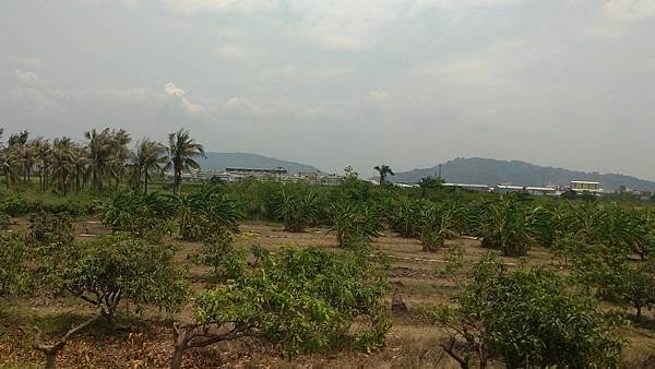 20240503_115400_岡山.jpg