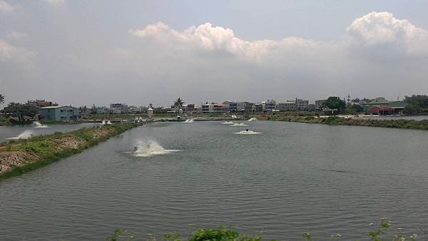 20240503_112900_仁德.jpg