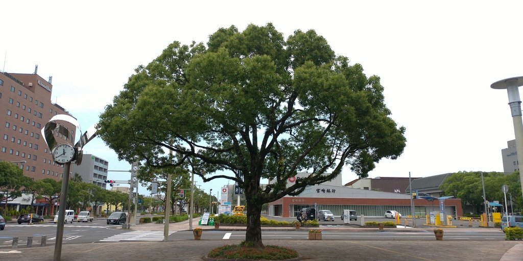 【JR日鐵】鹿兒島～宮崎～日向市 20240526_113955_日本宮崎.jpg