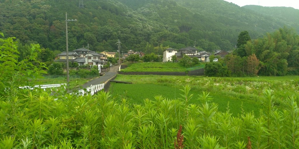 【JR日鐵】二條～馬堀～嵯峨嵐山 20240623_123636_日本京都.jpg