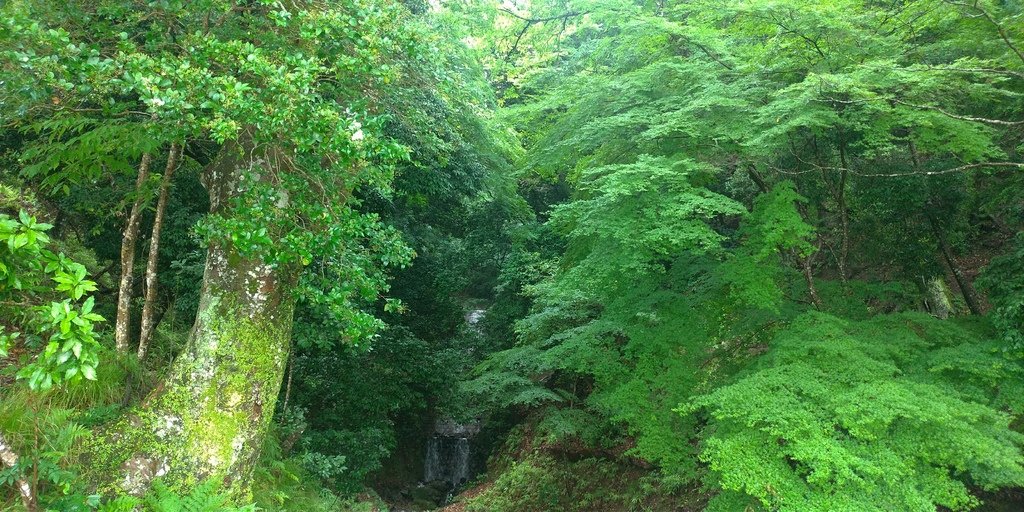 【JR日鐵】二條～馬堀～嵯峨嵐山 20240623_150647_日本京都.jpg