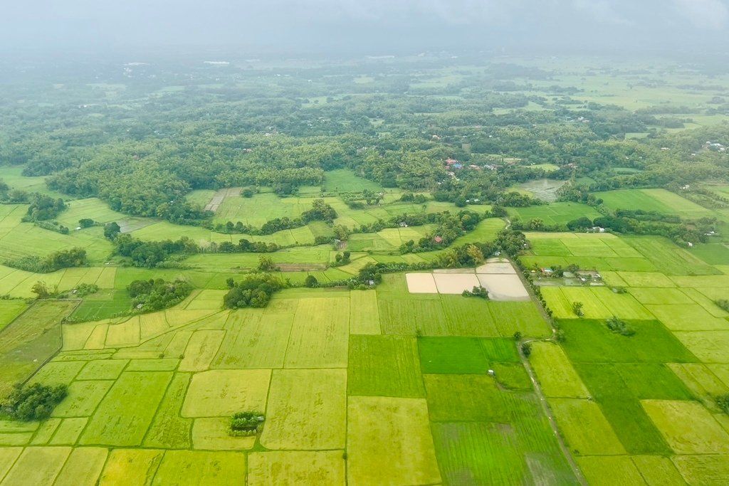 Lola的家鄉 20240902_110500_Rice field_ILO.JPG