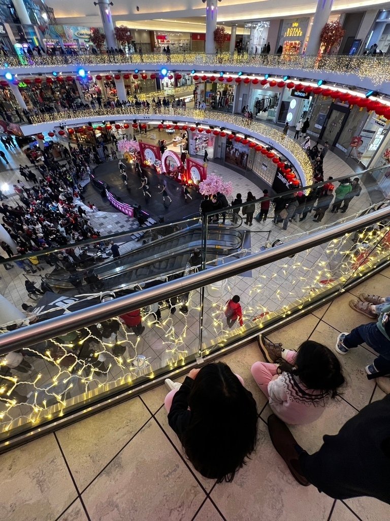 下雪了 20250201_163500_HeSa_Mall.JPG